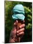Blue Moon Ice Cream, Concord, New Hampshire-Larry Crowe-Mounted Photographic Print