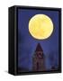 Blue Moon Rises Above Dyche Hall at the University of Kansas-null-Framed Stretched Canvas