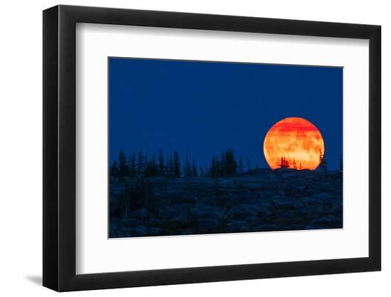 Photographic Print, , large