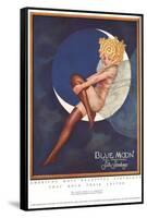 Blue Moon Silk stockings, Womens Glamour Pin-Ups Nylons Hosiery, USA, 1920-null-Framed Stretched Canvas