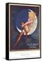 Blue Moon Silk stockings, Womens Glamour Pin-Ups Nylons Hosiery, USA, 1920-null-Framed Stretched Canvas