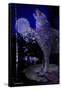 Blue Moon-Gordon Semmens-Framed Stretched Canvas