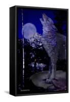 Blue Moon-Gordon Semmens-Framed Stretched Canvas