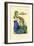 Blue Morpho, 1833-39-null-Framed Giclee Print