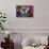 Blue Morpho Butterfly on pink Orchid-Darrell Gulin-Framed Stretched Canvas displayed on a wall