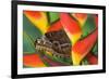 Blue Morpho Butterfly sitting on tropical Heliconia flowers-Darrell Gulin-Framed Photographic Print