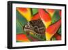 Blue Morpho Butterfly sitting on tropical Heliconia flowers-Darrell Gulin-Framed Photographic Print