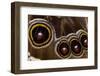 Blue Morpho Butterfly wings closed and macro showing eye spots-Darrell Gulin-Framed Photographic Print