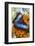 Blue Morpho Butterfly-Darrell Gulin-Framed Photographic Print