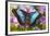 Blue Morpho Butterfly-Darrell Gulin-Framed Photographic Print