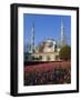 Blue Mosque, also known as the Sultanahmet Mosque, Gives its Name to the Surrounding Area-Julian Love-Framed Photographic Print