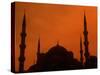 Blue Mosque at Sunset, Istanbul, Turkey-Bill Bachmann-Stretched Canvas