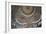 Blue Mosque Ceiling-Charles Bowman-Framed Photographic Print