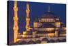 Blue Mosque in the Evening-Darrell Gulin-Stretched Canvas