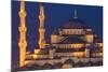 Blue Mosque in the Evening-Darrell Gulin-Mounted Photographic Print