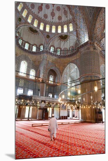 Blue Mosque Interior, UNESCO World Heritage Site, Mullah in Foreground, Istanbul, Turkey, Europe-James Strachan-Mounted Premium Photographic Print