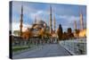 Blue Mosque, Istambul into Sunrise Lights-David Ionut-Stretched Canvas