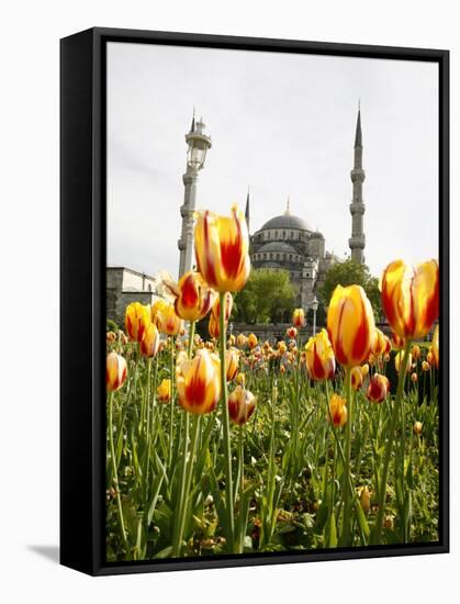 Blue Mosque, Istanbul, Turkey, Europe-Levy Yadid-Framed Stretched Canvas