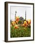 Blue Mosque, Istanbul, Turkey, Europe-Levy Yadid-Framed Photographic Print