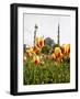 Blue Mosque, Istanbul, Turkey, Europe-Levy Yadid-Framed Photographic Print