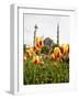 Blue Mosque, Istanbul, Turkey, Europe-Levy Yadid-Framed Photographic Print