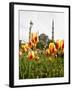Blue Mosque, Istanbul, Turkey, Europe-Levy Yadid-Framed Photographic Print