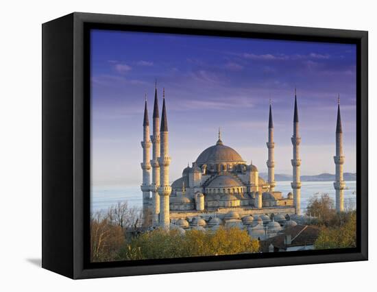 Blue Mosque, Istanbul, Turkey-Peter Adams-Framed Stretched Canvas