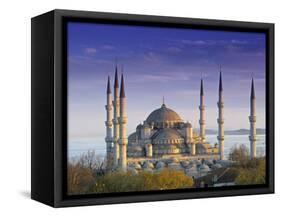 Blue Mosque, Istanbul, Turkey-Peter Adams-Framed Stretched Canvas