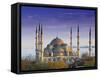 Blue Mosque, Istanbul, Turkey-Peter Adams-Framed Stretched Canvas