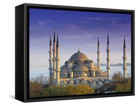 Blue Mosque, Istanbul, Turkey-Peter Adams-Framed Stretched Canvas