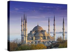 Blue Mosque, Istanbul, Turkey-Peter Adams-Stretched Canvas