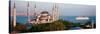 Blue Mosque Istanbul Turkey-null-Stretched Canvas