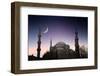 Blue Mosque - Istanbul / Turkey-PlusONE-Framed Photographic Print