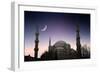 Blue Mosque - Istanbul / Turkey-PlusONE-Framed Photographic Print