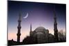 Blue Mosque - Istanbul / Turkey-PlusONE-Mounted Photographic Print