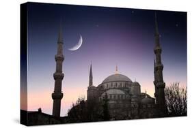 Blue Mosque - Istanbul / Turkey-PlusONE-Stretched Canvas