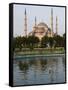 Blue Mosque Reflected in Pond, Sultanahmet Square, Istanbul, Turkey, Europe-Martin Child-Framed Stretched Canvas