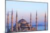 Blue Mosque (Sultan Ahmet Camii), Istanbul, Turkey-Neil Farrin-Mounted Photographic Print