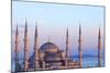 Blue Mosque (Sultan Ahmet Camii), Istanbul, Turkey-Neil Farrin-Mounted Photographic Print