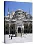 Blue Mosque (Sultan Ahmet Mosque), Unesco World Heritage Site, Istanbul, Turkey, Eurasia-Michael Short-Stretched Canvas