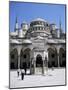 Blue Mosque (Sultan Ahmet Mosque), Unesco World Heritage Site, Istanbul, Turkey, Eurasia-Michael Short-Mounted Photographic Print