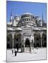 Blue Mosque (Sultan Ahmet Mosque), Unesco World Heritage Site, Istanbul, Turkey, Eurasia-Michael Short-Mounted Photographic Print