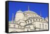 Blue Mosque, UNESCO World Heritage Site, Sultanahmet District, Istanbul, Turkey, Europe-Richard Cummins-Framed Stretched Canvas