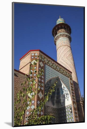 Blue Mosque, Yerevan, Armenia, Central Asia, Asia-Jane Sweeney-Mounted Photographic Print
