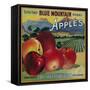 Blue Mountain Apple Crate Label - Cove, OR-Lantern Press-Framed Stretched Canvas