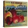 Blue Mountain Apple Crate Label - Cove, OR-Lantern Press-Stretched Canvas
