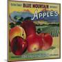 Blue Mountain Apple Crate Label - Cove, OR-Lantern Press-Mounted Art Print