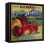 Blue Mountain Apple Crate Label - Cove, OR-Lantern Press-Framed Stretched Canvas