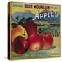 Blue Mountain Apple Crate Label - Cove, OR-Lantern Press-Stretched Canvas