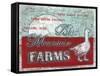 Blue Mountain Farms-Catherine Jones-Framed Stretched Canvas